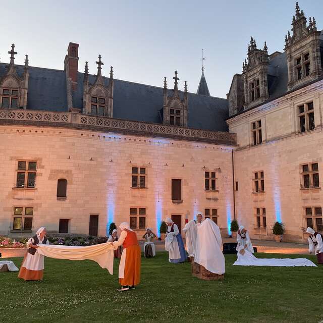 Déambulation nocturne "Amboise, destinées royales"