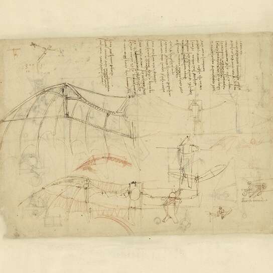 Exposition "S'inspirer du vivant : de Léonard de Vinci à nos jours"