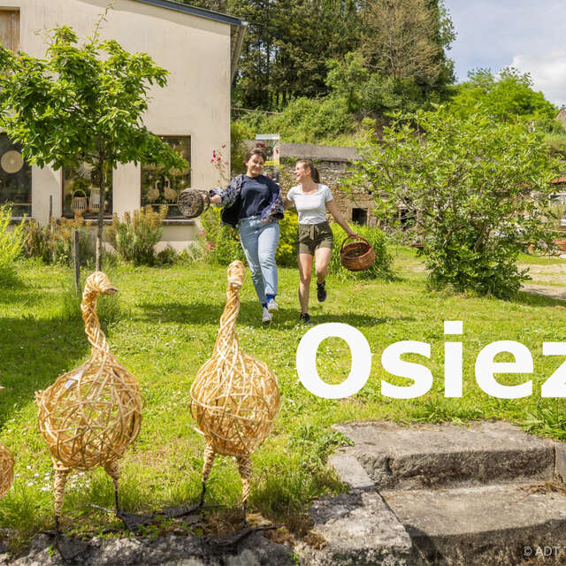 O S I E Z ! Centre d'Art autour de l'osier, Visite guidée et Atelier osier créatif