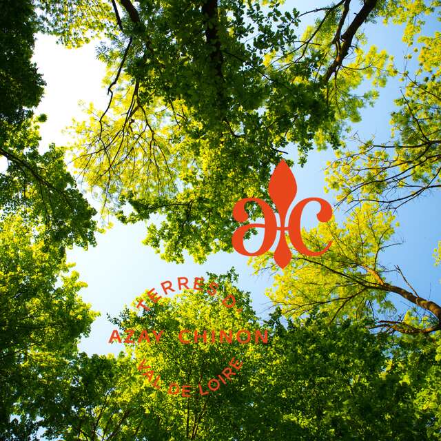 Fête des plantes - Château de l'Islette