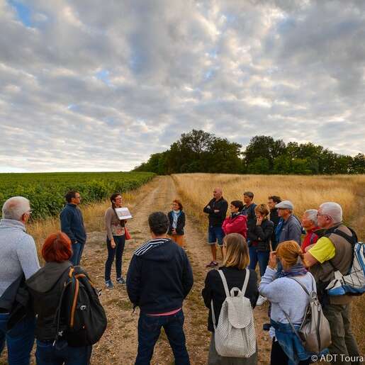 Rendez-Vous dans les Vignes