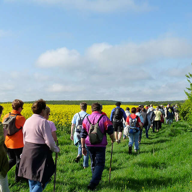 Randonnée pédestre