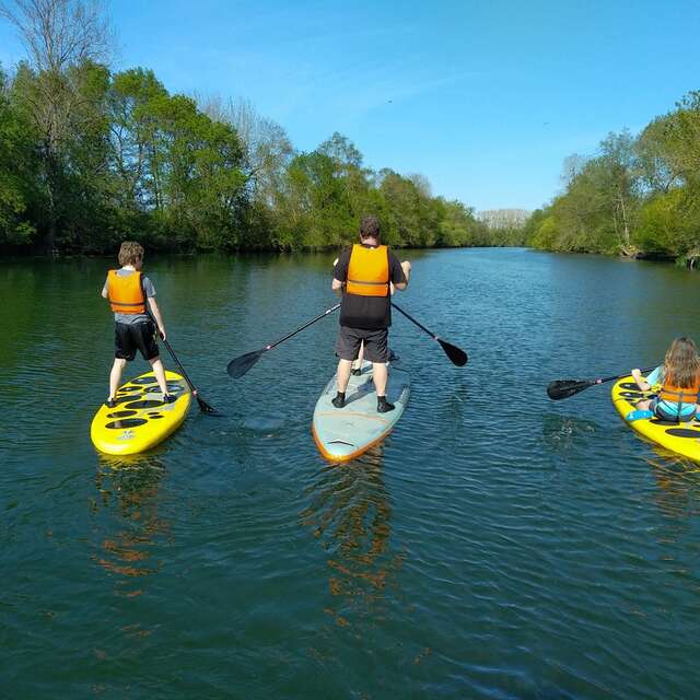 Sensation paddle