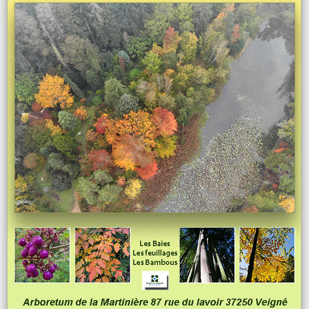 Ouverture de l'Arboretum de la Martinière
