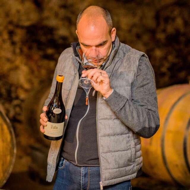 Vinoloire Wine-tours