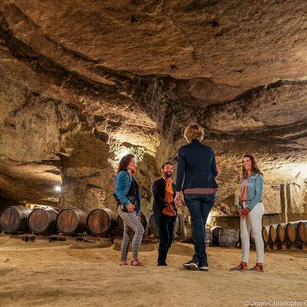 Vignoble de la Jarnoterie