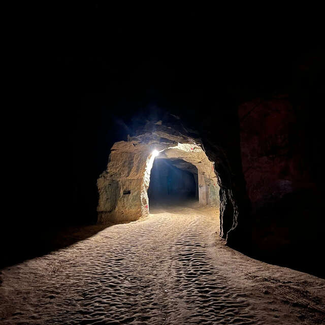Visite-dégustation : Visite de cave troglodyte et vieux millésimes