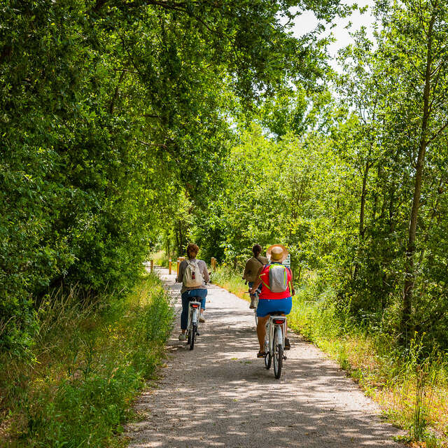 Entre vignes et Veude - Boucle vélo n°51