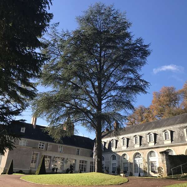 Château de Beauvois