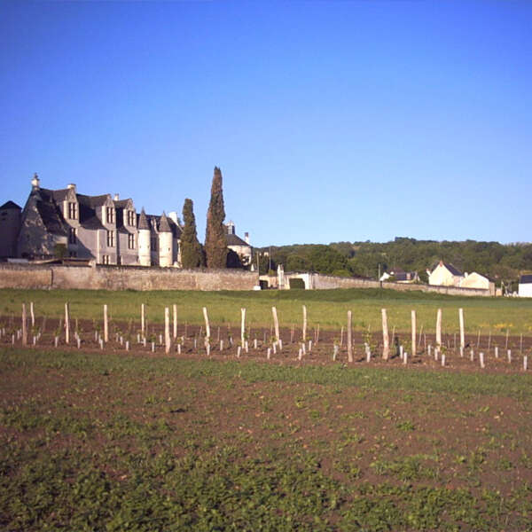 Château de la Vauguyon