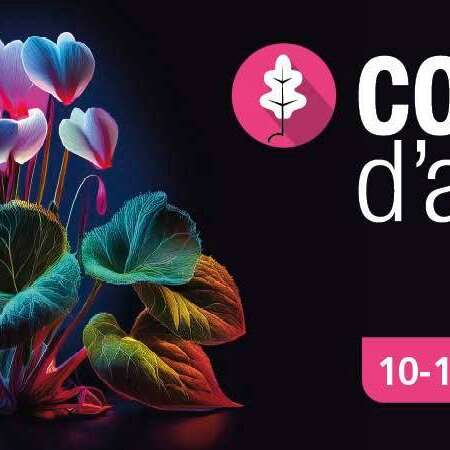 Concerts d'Automne