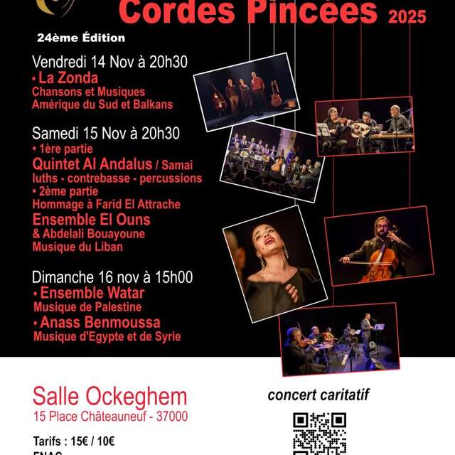 Festival International des cordes pincées
