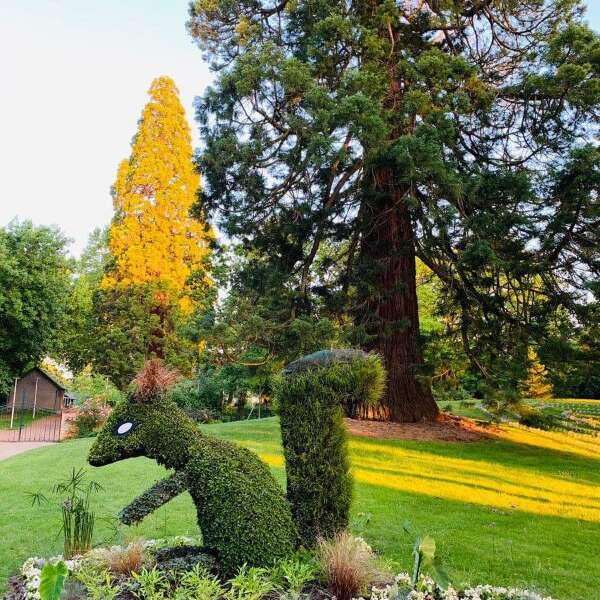 Jardin René Boylesve