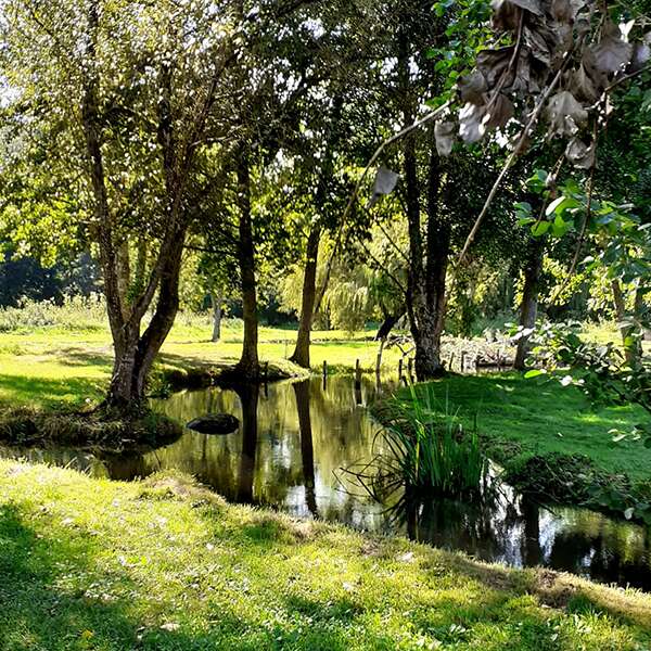 Les Viviers du Moulin de Langeais