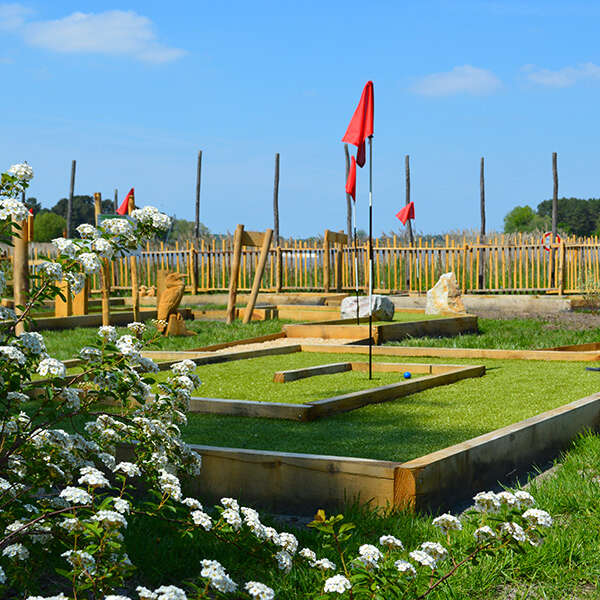 Mini-golf aux oiseaux