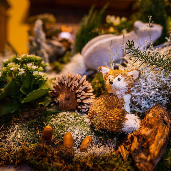 A Noël la nature s'invite au château !
