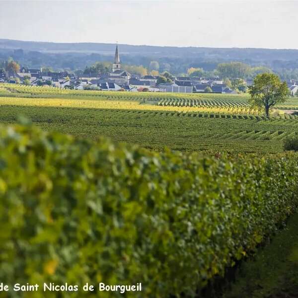 Vignobles en Scène ! - Reflets de vignes