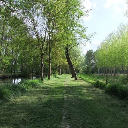 Parcours de pêche Prairies du Roy