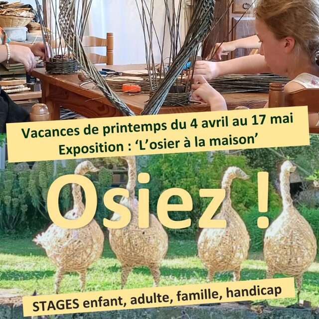 O S I E Z !  ATELIERS OSIER CREATIF à partir de 3 ans