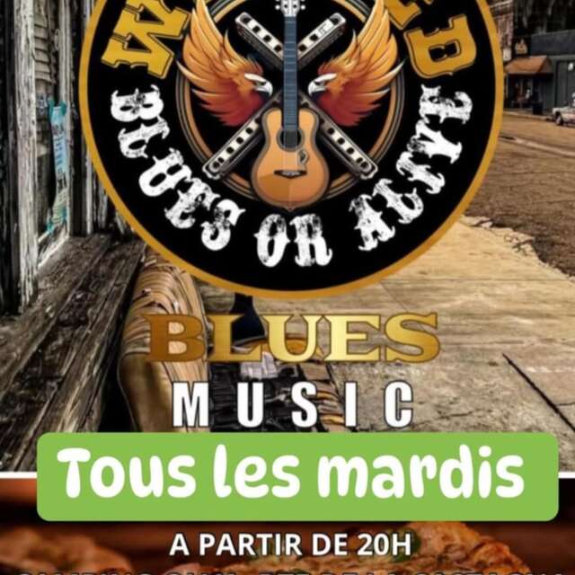 Soirée Blues Music Live au camping Olva