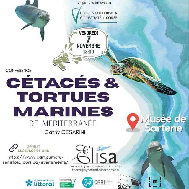 Conférence les cétacés et tortues Marines de Mediterranée