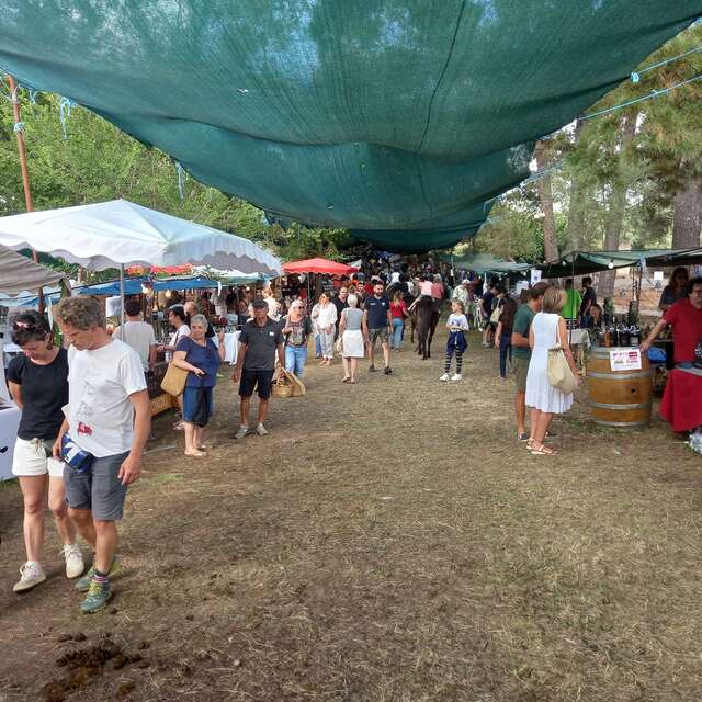 FIERA DI U TURISIMU CAMPAGNOLU