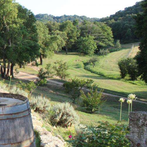 DOMAINE  KIESALE ABBATUCCI  AIR NATURELLE DE CAMPING