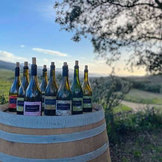 Visite oenologique au Domaine Sant'Armettu