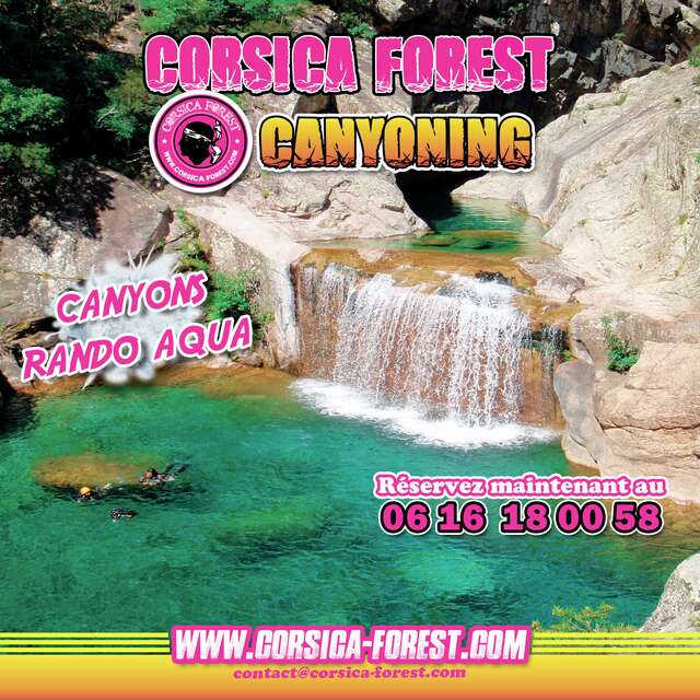 CORSICA FOREST