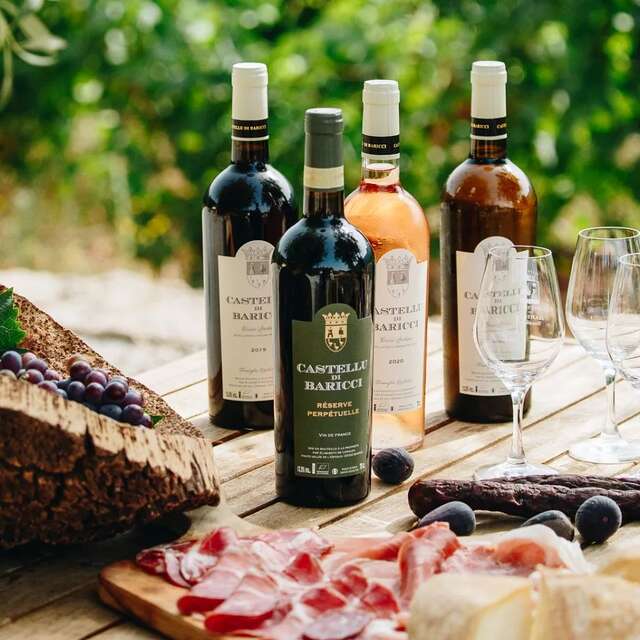 Visite oenologique au Domaine Castellu di Baricci