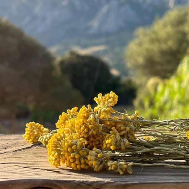 Les Ateliers Distillations au domaine Vitalba