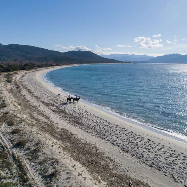 L’ORCA AGRICULTURA & CAVALLI