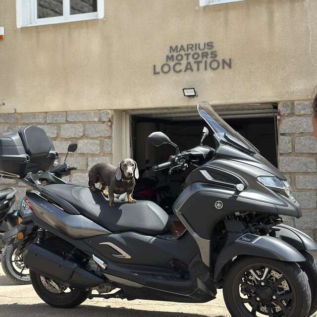 MARIUS MOTORS