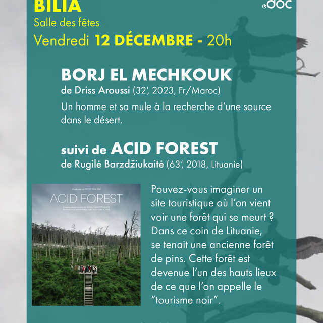 Ciné-village à Bilia : Projection des films "Borj el mechkouk" et "Acid forest"