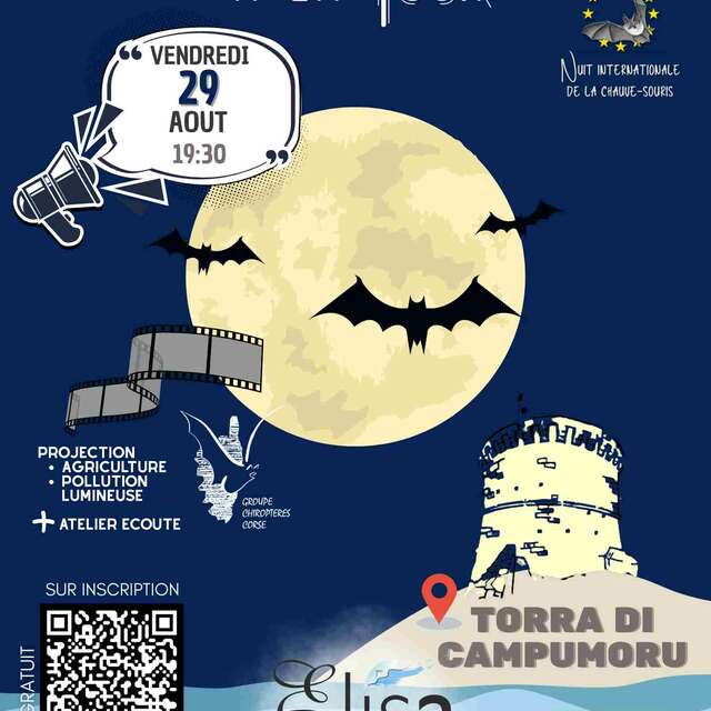 La nuit international de la chauve-souris