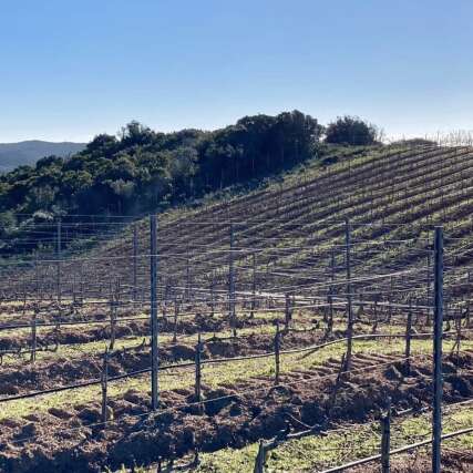 DOMAINE ZURIA