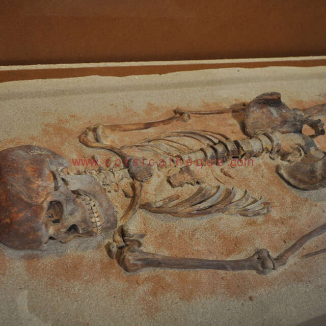 EXPOSITION JOURNÉES EUROPÉENNES DU PATRIMOINE