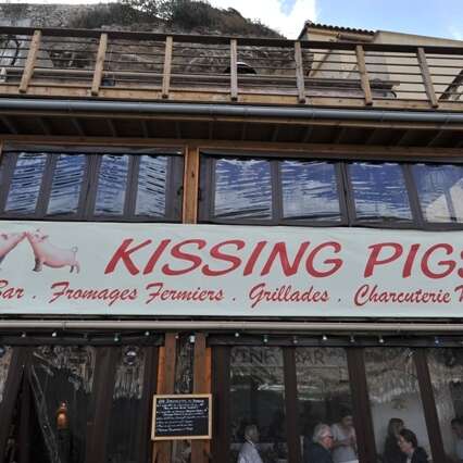 KISSING PIGS