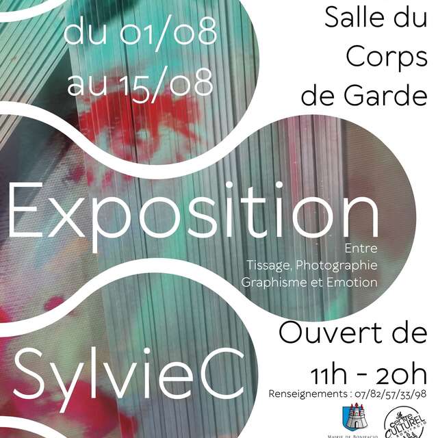 EXPOSITION DE L'ARTISTE PLASTICIENNE SYLVIE COLLU
