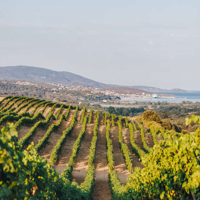 DOMAINE SANT ARMETTU