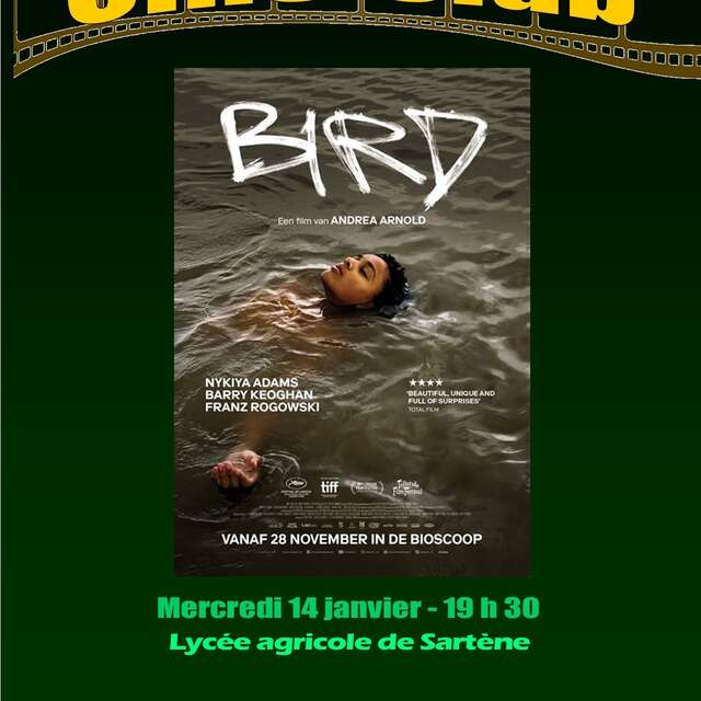 Ciné-Club au Lycée Agricole de Sartène - Bird à l'affiche