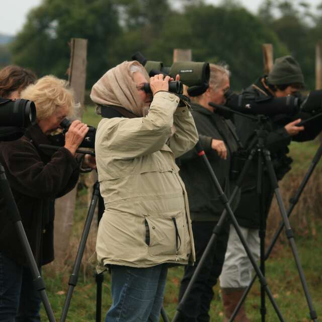 Observer la migration des oiseaux en val d’Arroux (Fête de la Science 2025)