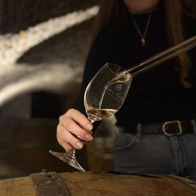 Château de Saint-Aubin - Maison Prosper Maufoux : Expérience au cœur des Caves