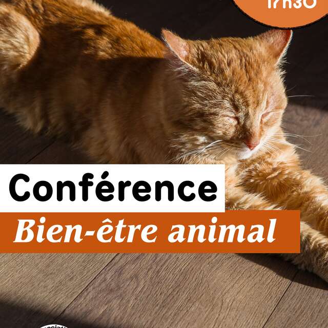 Conférence autour du bien-être animal