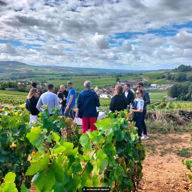 SUR LES PAS DU VIGNERON - VISITE FACILE DES VIGNES DE SANTENAY