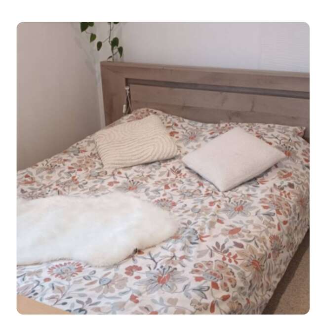 Gîte Le petit cocon