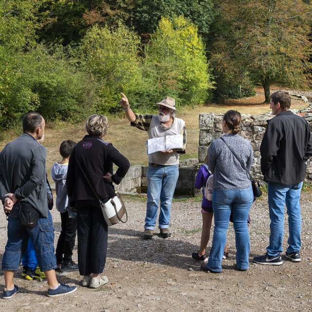 Visite guidée du site archéologique de Bibracte en allemand