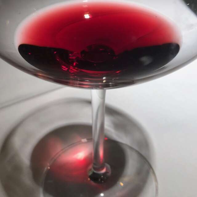 Conférence-dégustation à Meursault : Reconnaissez-vous un pinot noir de Bourgogne ?