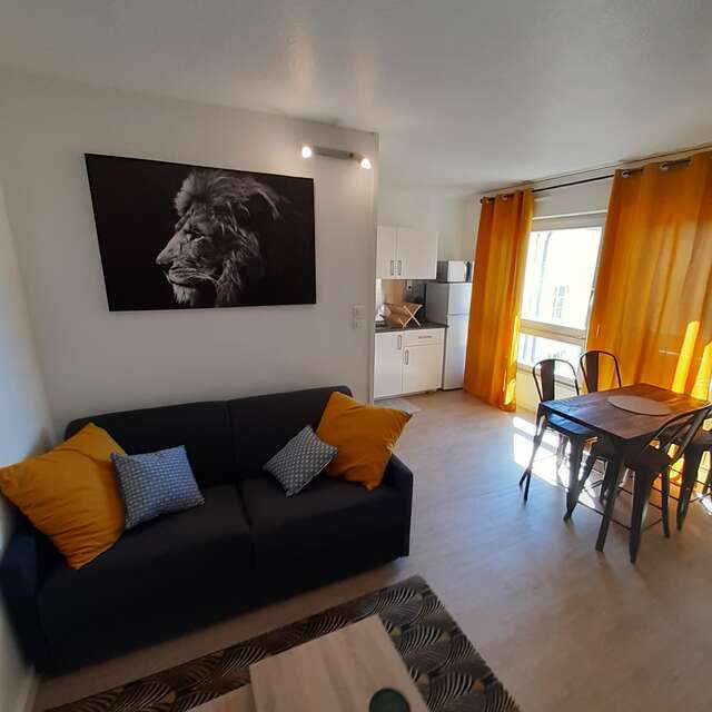 Studio cosy "Le Lion"