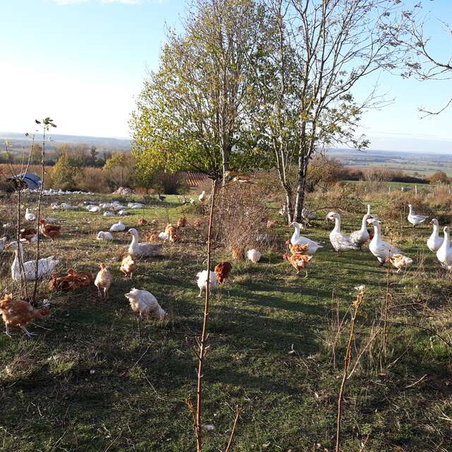 Ferme bio "La clé des champs"